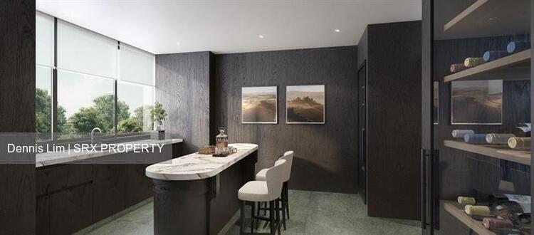 21 Anderson (D10), Condominium #564134011